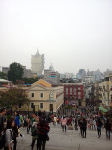 澳门一日游攻略游戏 澳门一日游攻略游戏