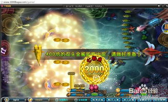 伴你飞翔攻略游戏