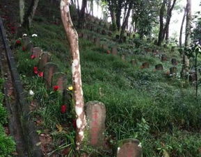 国殇墓园游戏攻略