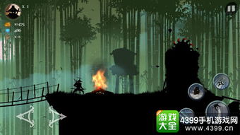 忍者岚游戏攻略