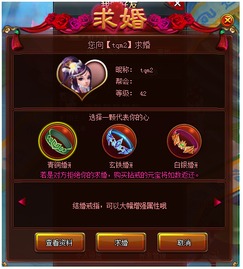 求爱策划攻略游戏