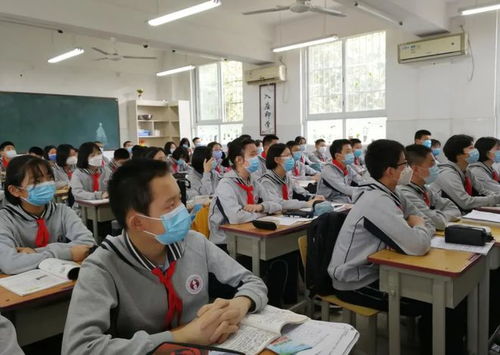 东莞一学校因跳蚤放假？教育局回应