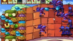 晴天游戏攻略视频