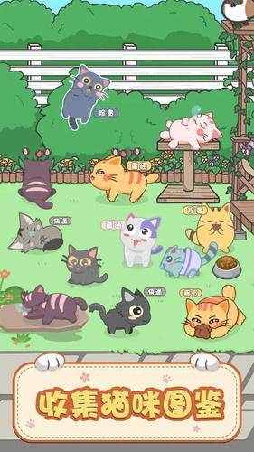 奇妙猫咪攻略游戏