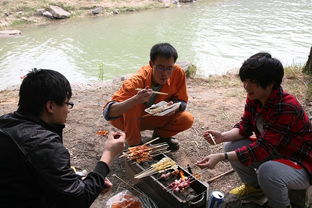 郊游野炊攻略游戏