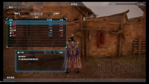 真实村庄游戏攻略