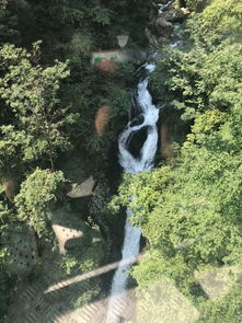 景区急招百名老人带薪钓鱼