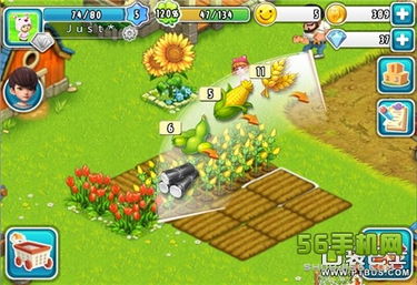 游戏手机农场攻略
