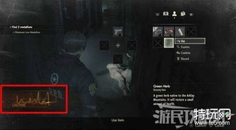 危机生存攻略游戏