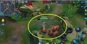 视界线游戏攻略