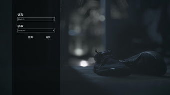 面容游戏攻略密码