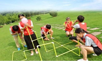 团队露营攻略游戏