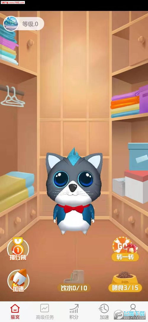 套房养猫攻略游戏