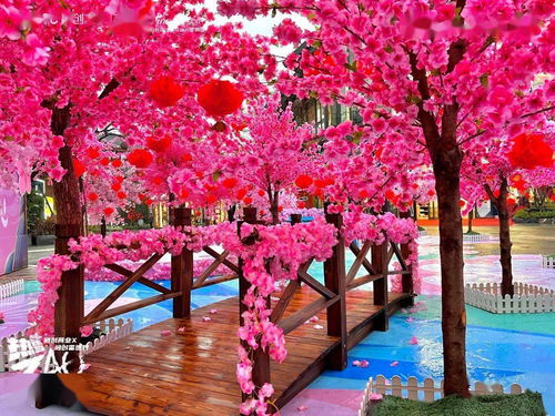 赏花约会攻略游戏