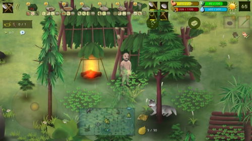 荒野求生 游戏攻略