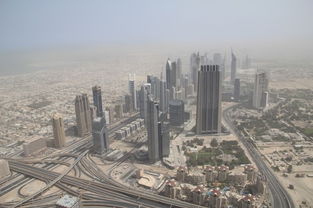 这座城市游戏攻略