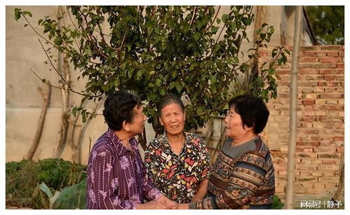 爸爸去世女儿被判和4个姑姑平分遗产