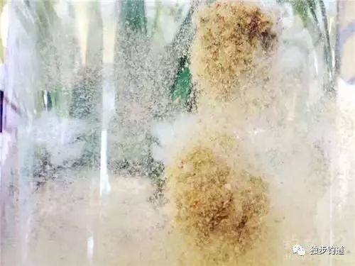 水分层游戏攻略