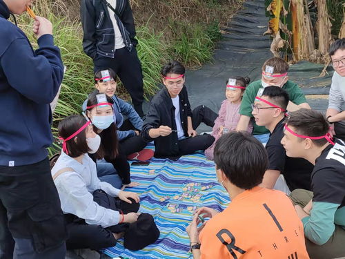 野炊拍照攻略游戏