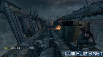 单机游戏狙击精英攻略