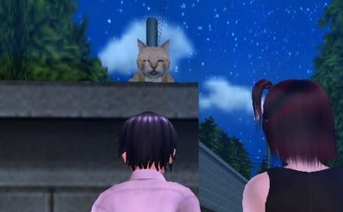 日本游戏人工少女攻略