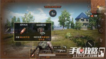 和平精英游戏攻略半仙