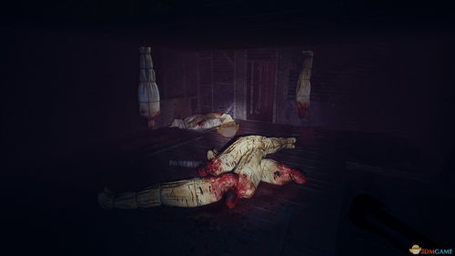 恐怖游戏直播凶宅攻略