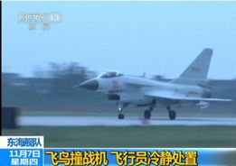 飞行员视角看战机从山东舰起飞 飞行员视角看战机从山东舰起飞