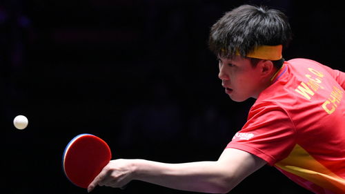 王楚钦考编考研双双上岸 王楚钦考编考研双双上岸