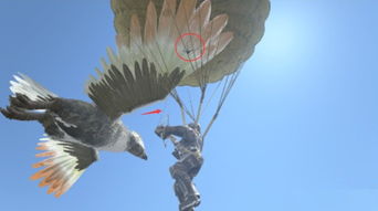 进化翼龙游戏攻略