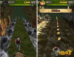 荒野求生游戏详细攻略