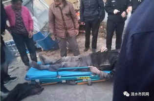 老人刚去世 孙子电话被殡葬公司打爆