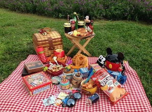 野餐烧烤最佳攻略游戏