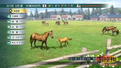 马场大亨4游戏攻略