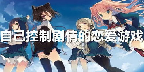 和她谈恋爱游戏攻略