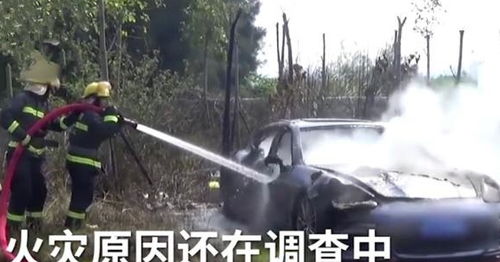 男子扫墓车停路边被烧成空壳