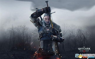 巫师训练游戏攻略