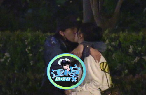 雪豹疑被撞死？官方通报