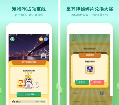 亲子露营游戏攻略app