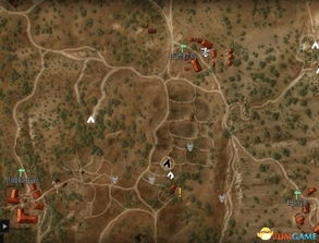 巫师3同级游戏攻略