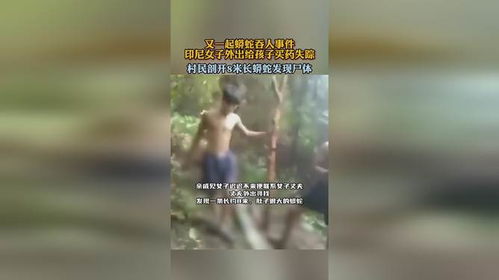 印尼村民剖开巨蟒发现失踪女子 印尼村民剖开巨蟒发现失踪女子