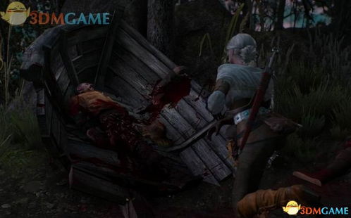 巫师猎人1游戏攻略