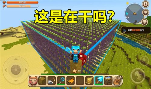 何处游戏攻略世界五