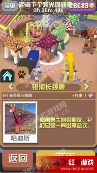 疯狂的动物攻略游戏