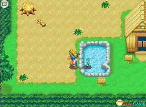 单机游戏农场 伙伴攻略