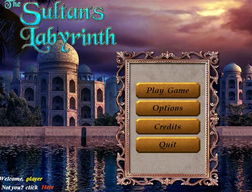 刺杀苏丹王游戏攻略 刺杀苏丹王游戏攻略