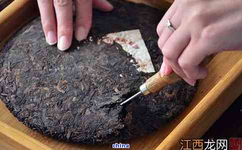 去摘茶叶攻略游戏