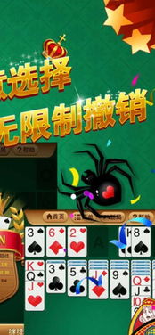 纸牌游戏蜘蛛攻略视频