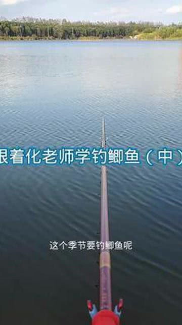 深水钓鲤鱼游戏攻略