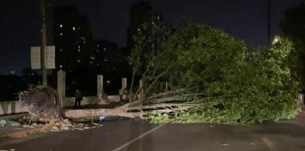 200斤记者实测北京大风:顶不住